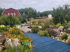 GORGEOUS Raised Bungalow on 40 Acres - Photo 3