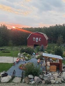 GORGEOUS Raised Bungalow on 40 Acres - Photo 4