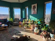 GORGEOUS Raised Bungalow on 40 Acres - Photo 8