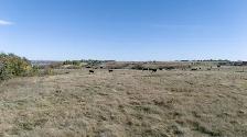 258.45 Acres | RM of Rudy # 284 | Outlook, SK Area - Photo 4