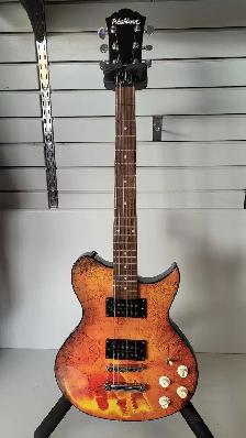 Washburn W16G12 w/Case (29424282)