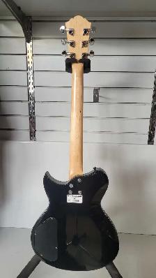 Washburn W16G12 w/Case (29424282) - Photo 2