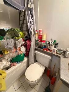 Garbage/Junk removal - Photo 6