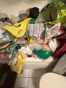 Garbage/Junk removal - Photo 9