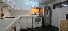 SHARED ROOM SPACE IN BASEMENT OR PRIVATE ROOM IN SCARBROUGH CALL - Photo 5
