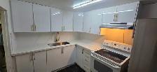 SHARED ROOM SPACE IN BASEMENT OR PRIVATE ROOM IN SCARBROUGH CALL - Photo 6