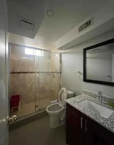 2 bedroom Newly renovated Basement for rent - Photo 5