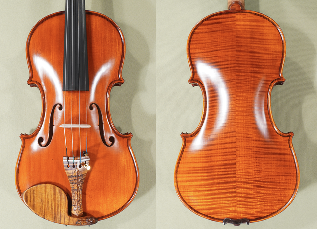Gliga Gama Elite X 4/4 Violin – Dark Finish, Limited Edition