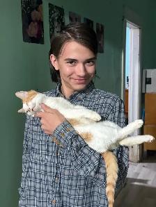 Barn cat mousers - Photo 4