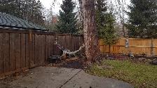 Beautiful 3 Bedroom Semi in Central Sarnia - Photo 8