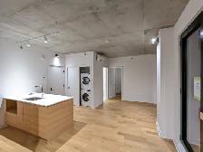 2 Full Bedrooms Condo Near Papineau Métro, Min 6-month lease - Photo 4