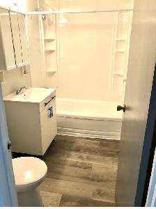 Lovely One Bedroom Available!! - Photo 6