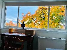 Luxury Furnished Condo for Rent , Minutes from Downtown Montreal - Photo 5