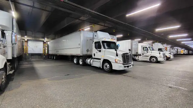 Az driver local ( Dufferin county )