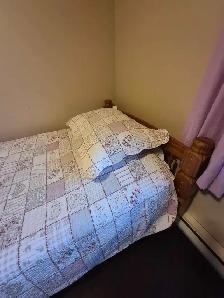 Single Bunk Bed .. Solid Pine, bedding Free city delivery! - Photo 3