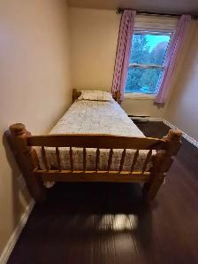 Single Bunk Bed .. Solid Pine, bedding Free city delivery! - Photo 5