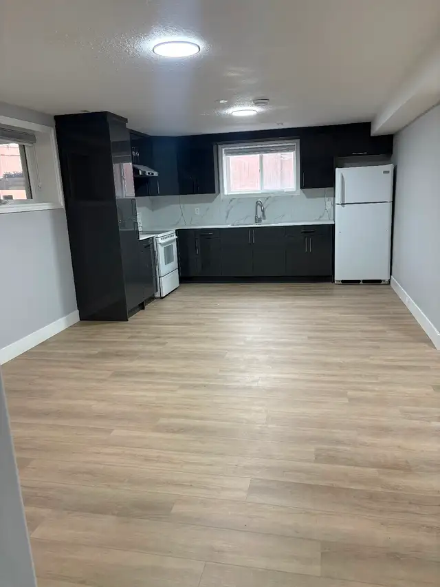 2 bedroom basement for rent in Meadows- newly renovated