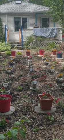 DOG AND CAT PLANTING POTS - Photo 10