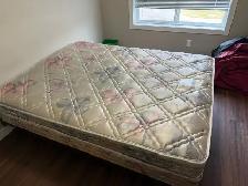 Sealy Queen Size Bed For Sale - Photo 3