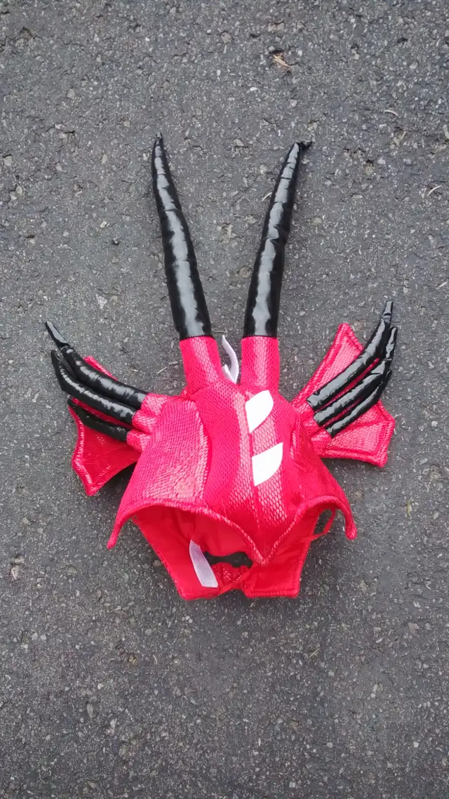 Halloween costume