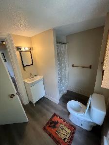 Large Private Room For Rent - Brantford Ontario - Photo 4