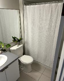 Waterfront Apartment Rental - Photo 4
