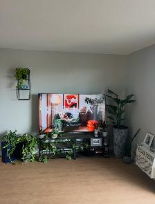 Waterfront Apartment Rental - Photo 9