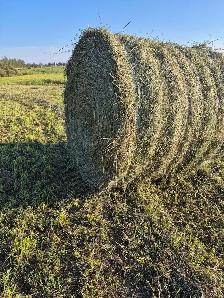 hay bales - Photo 2