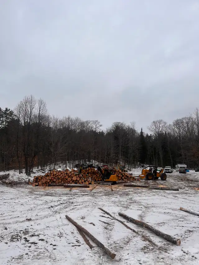 FERGUSON FIREWOOD