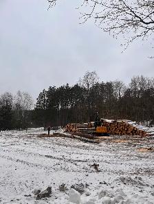 FERGUSON FIREWOOD - Photo 2