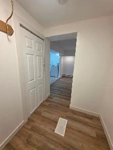 2 Bedroom Apartment - $1800- 1st November 2026 - Photo 14