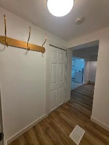2 Bedroom Apartment - $1800- 1st November 2026 - Photo 15