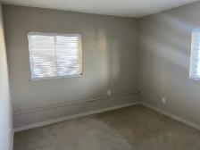 Bright, clean, walk-out B/M suite w/ natural light - Photo 2