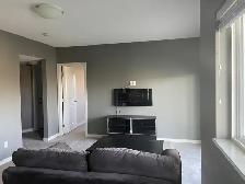 Bright, clean, walk-out B/M suite w/ natural light - Photo 5