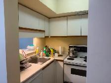 Furnished Room For Rent - Downtown Toronto - Photo 4