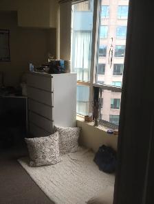 Furnished Room For Rent - Downtown Toronto - Photo 10
