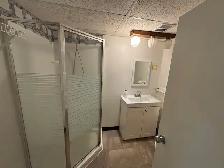 FOR RENT -23 Whitley Dr Winnipeg- pending - Photo 11