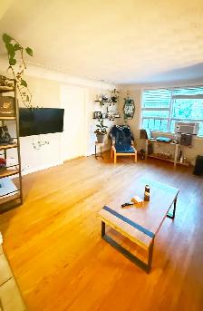 1 Bedroom  plus den in quiet small building close to Mcmaster - Photo 2