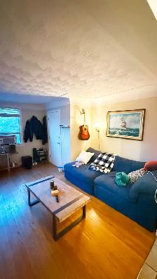 1 Bedroom  plus den in quiet small building close to Mcmaster - Photo 3
