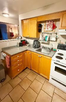 1 Bedroom  plus den in quiet small building close to Mcmaster - Photo 6