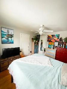 1 Bedroom  plus den in quiet small building close to Mcmaster - Photo 7