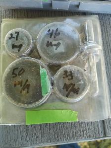 Scies Cloche - Photo 2