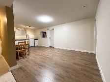 Langley (Walnut Grove)1bed1bath basement suite with AC - Photo 2