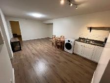 Langley (Walnut Grove)1bed1bath basement suite with AC - Photo 3