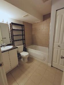 Langley (Walnut Grove)1bed1bath basement suite with AC - Photo 4
