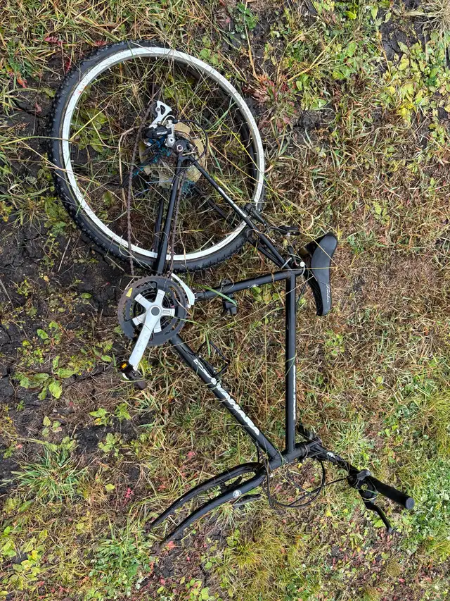 Kuwahara for $10. hundreds of bikes here for super cheap