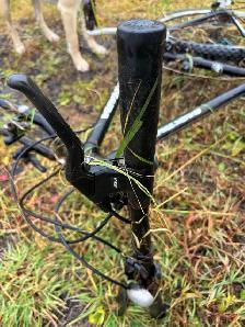 Kuwahara for $10. hundreds of bikes here for super cheap - Photo 5