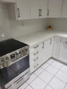 High Park Apartment For Rent !! - Photo 6