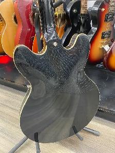 Cort Source-BV CR Double Cutaway Hollow Body Electric Guitar - Photo 6