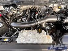 2024 Ford F-150 XLT 4x4 SuperCrew 5.5' Box - Photo 25